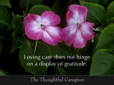 Pratiquer la gratitude : jour 4